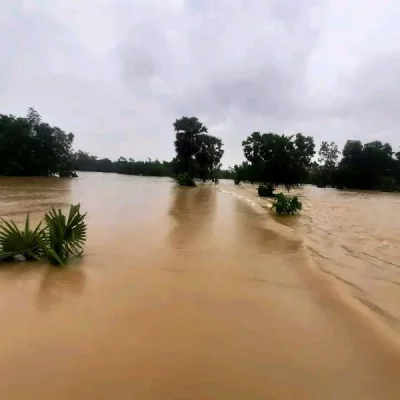 ফুলগাজীতে বন্যায় প্লাবিত অঞ্চল।