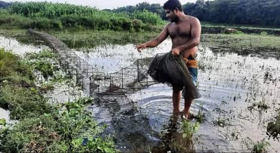 নিষিদ্ধ চায়না দুয়ারি জাল দিয়ে মাছ শিকার করছে এক জেলে | ছবি: সংগৃহীত 