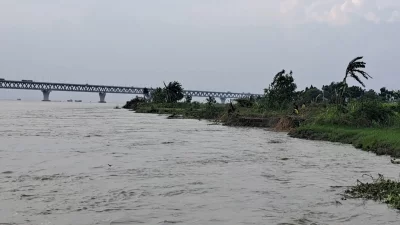 পদ্মা সেতু এলাকায় ভাঙন।