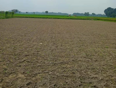 খরচ তুলতেই হিমশিম খেতে হবে বলে জানান কৃষকেরা