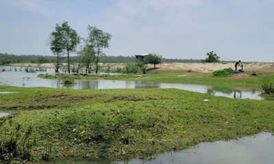 রাঙ্গাবালীর চরবেষ্টিন এলাকার বনানী নদীতে ক্রসড্যাম
