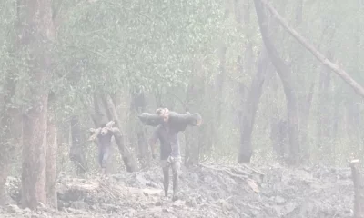 বনের কাটা গাছ নিয়ে যাচ্ছে