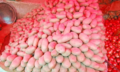 ছবি: ফোকাস বাংলা