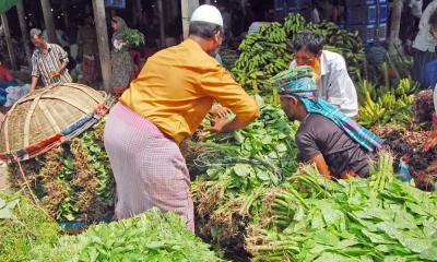 ছবি: ফোকাস বাংলা 