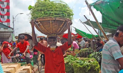 ছবি: ফোকাস বাংলা 