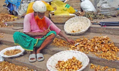ছবি: ফোকাস বাংলা