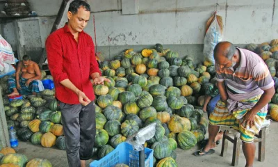 ছবি: ফোকাস বাংলা