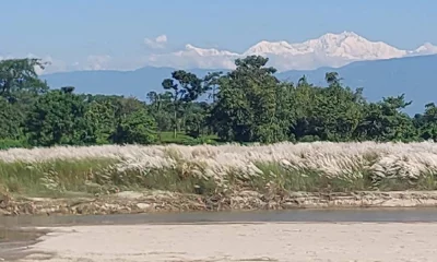 পর্যটকদের পর্বতশৃঙ্গের সঙ্গে কাশবনের সৌন্দর্য উপভোগের সুযোগ পাবেন। ছবি: প্রতিনিধি 
