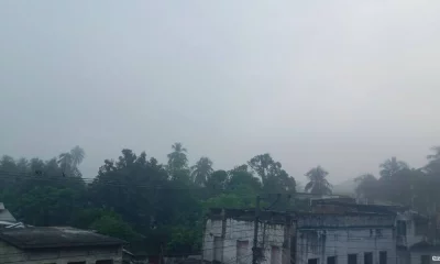 ছবি: ফোকাস বাংলা