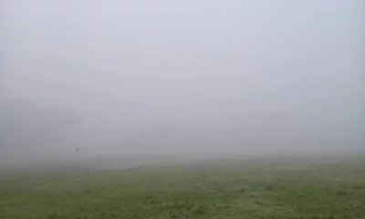 ছবি: ফোকাস বাংলা
