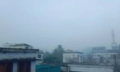 ছবি: ফোকাস বাংলা