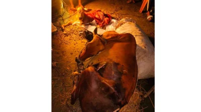 ছবি: দেশ রূপান্তর 