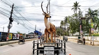 খুলনা শহরের শিববাড়ি মোড় এলাকায় হরিণের ভাস্কর্য। ছবি: সংগৃহীত 