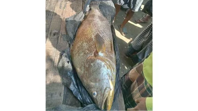 ছবি: দেশ রূপান্তর 