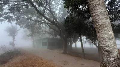 ছবি: প্রতিনিধি