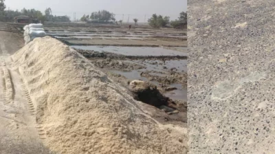 ছবি: প্রতিনিধি 