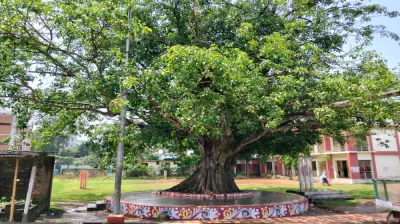 ছবি: প্রতিনিধি 