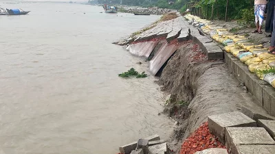 দেড় মাসেই ভাঙল &lsquo;স্থায়ী&rsquo; বাঁধ, পদ্মাপাড়ে ফের আতঙ্ক