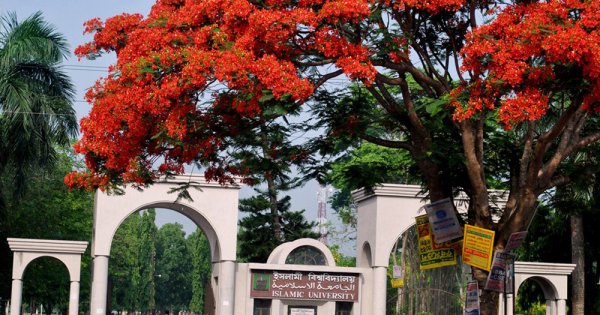 জুলাইবিরোধী শিক্ষক-কর্মকর্তারা বরখাস্ত, ছাত্রলীগ নেতাদের সনদ বাতিল