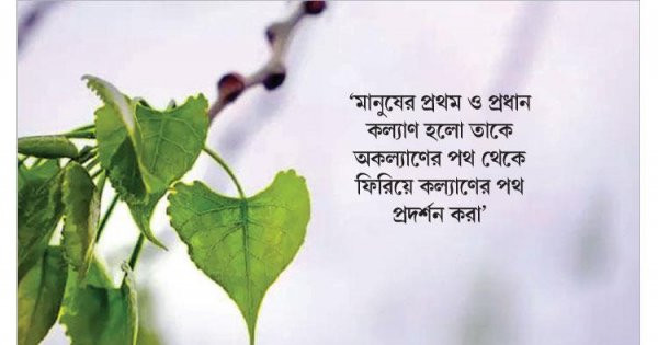 Eski sexy filmlar Ferro Network