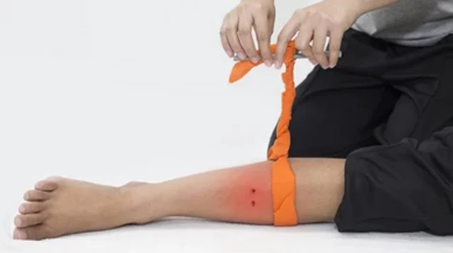 Kop sut va katta sik