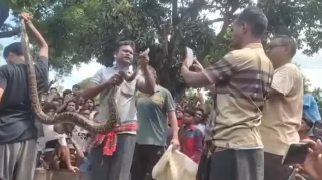 Porno shahvatparast onalar