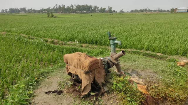 ডিজেল সংকটে বোরোর ফলন নিয়ে শঙ্কায় কৃষক!