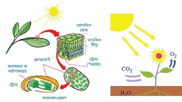 Super portlash videosini tomosha qiling HD porno