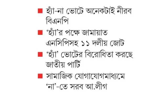 গ্রামে গণভোট অন্ধকারে