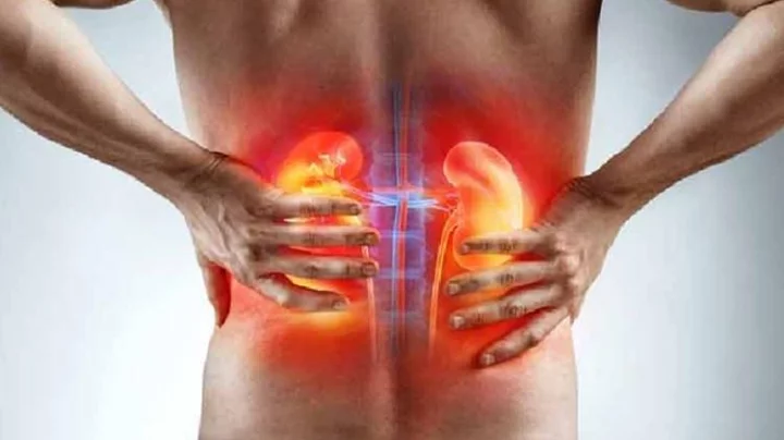 কিডনি রোগের লক্ষণগুলো যেভাবে বুঝবেন