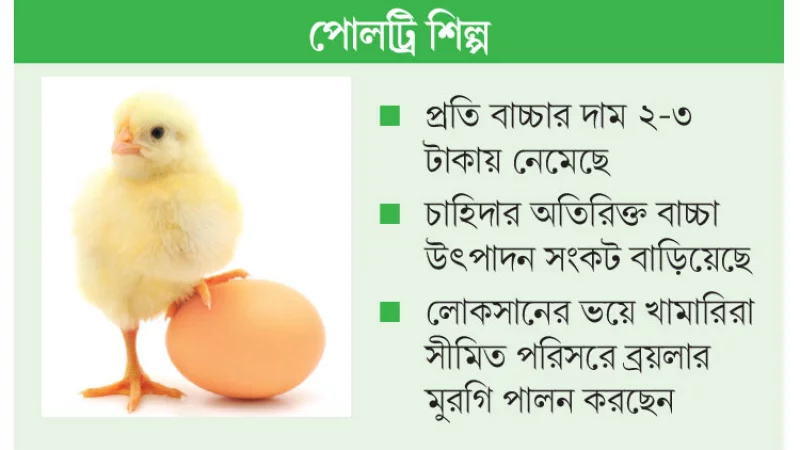 Egri chiziqli xotinining surati Dehqon ayolni sikish