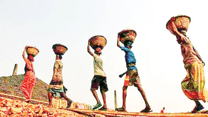 দেশে কর্মক্ষম মানুষের সংখ্যা ৭ কোটি ১৭ লাখ